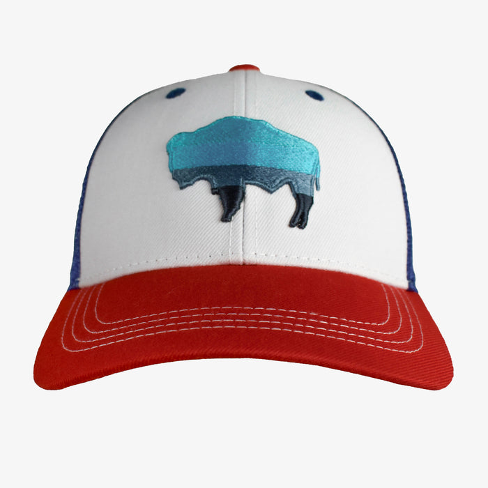 Low Pro Buffalo Horizons Snapback Hat