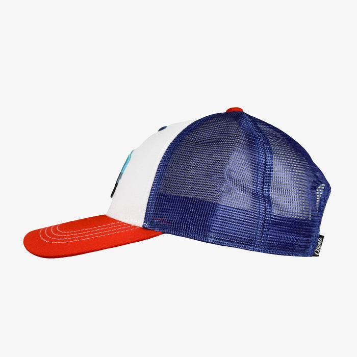 Low Pro Buffalo Horizons Snapback Hat