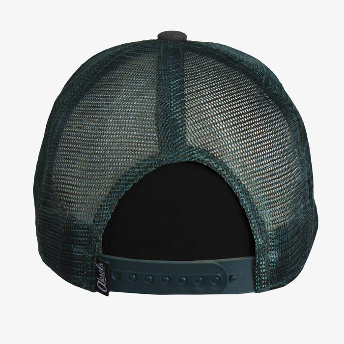 Low Pro Fish Horizons Montana Snapback Hat