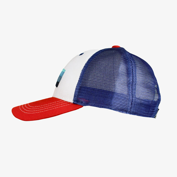 Low Pro Montana Horizons Snapback Hat