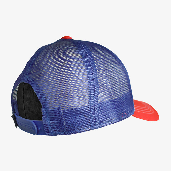 Low Pro Montana Horizons Snapback Hat