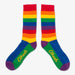 Aksels Rainbow Socks