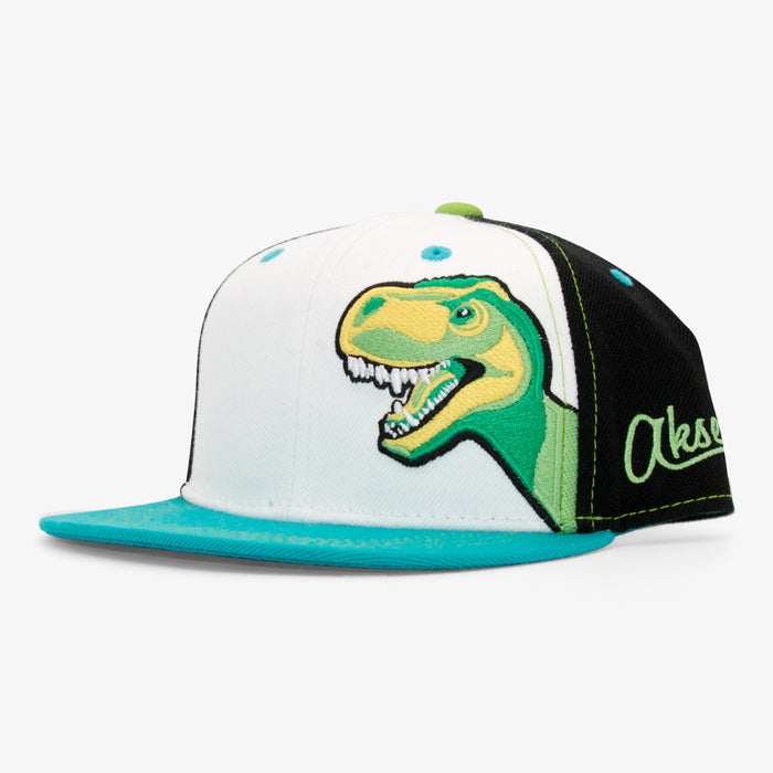 Aksels Youth T-Rex Dinosaur Snapback Hat