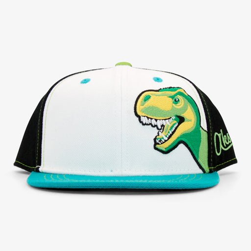 Aksels Youth T-Rex Dinosaur Snapback Hat