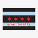 Aksels Grown Locally Chicago Flag Sticker - Black