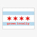 Aksels Grown Locally Chicago Flag Sticker - White