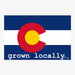 Aksels Grown Locally Colorado Flag Sticker - Royal
